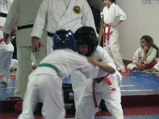 Jujitsu Sparring